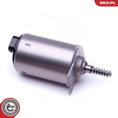 ESEN SKV Stellelement, Exzenterwelle (variabler Ventilhub) 96SKV087
