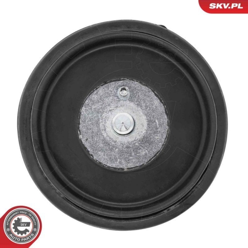 ESEN SKV Lagerung, Motor 75SKV114