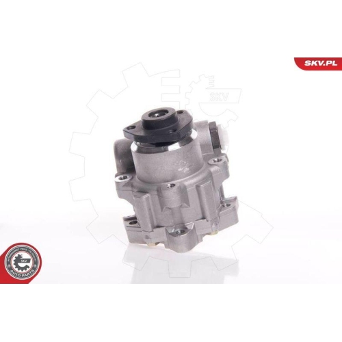 ESEN SKV Hydraulikpumpe, Lenkung