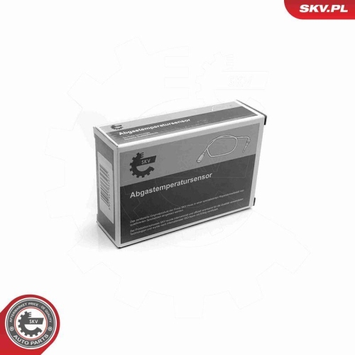 ESEN SKV Sensor, Abgastemperatur 30SKV011