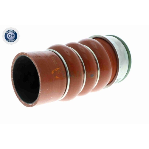 VAICO Ladeluftschlauch Q+, Erstausrüsterqualität