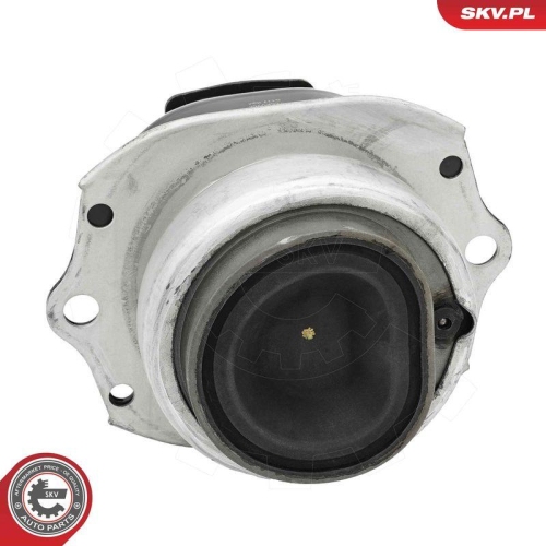 ESEN SKV Lagerung, Motor 75SKV255