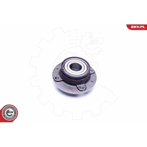 ESEN SKV Radlagersatz 29SKV220