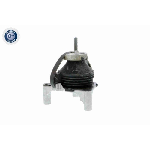 VAICO Lagerung, Motor Q+, Erstausr&uuml;sterqualit&auml;t V50-0031