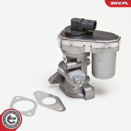 ESEN SKV AGR-Ventil 14SKV038