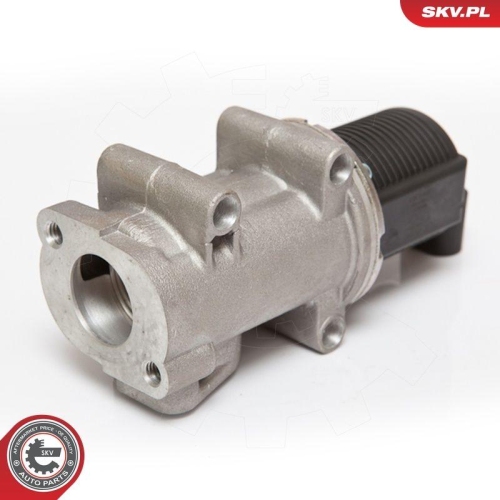 ESEN SKV AGR-Ventil 14SKV055