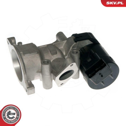 ESEN SKV AGR-Ventil 14SKV057