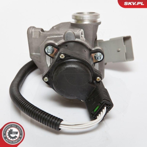 ESEN SKV AGR-Ventil 14SKV067
