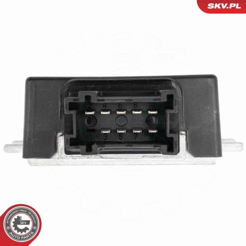 ESEN SKV Steuergerät, Kraftstoffpumpe