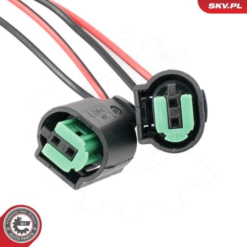 ESEN SKV Schalter, Heckklappe 96SKV253