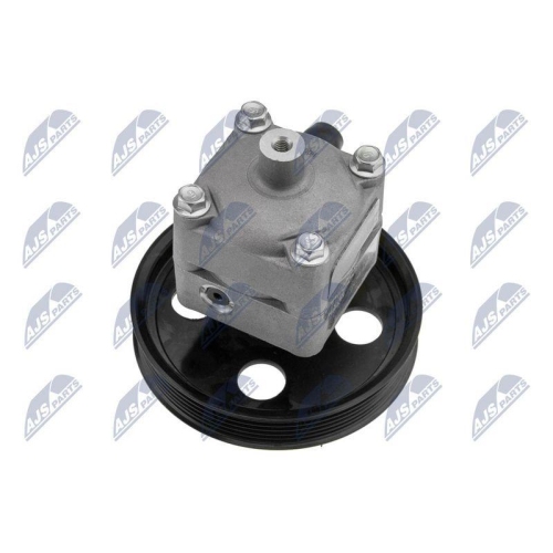 NTY Hydraulikpumpe, Lenkung SPW-VV-004