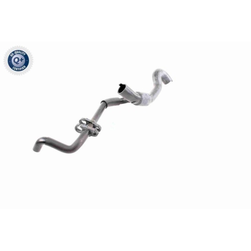 VAICO K&uuml;hlerschlauch Q+, Erstausr&uuml;sterqualit&auml;t