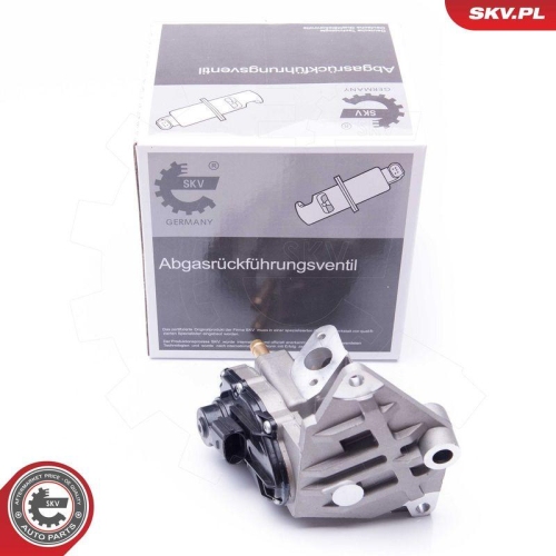 ESEN SKV AGR-Ventil 14SKV087