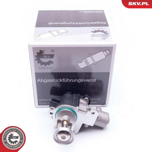 ESEN SKV AGR-Ventil 14SKV172