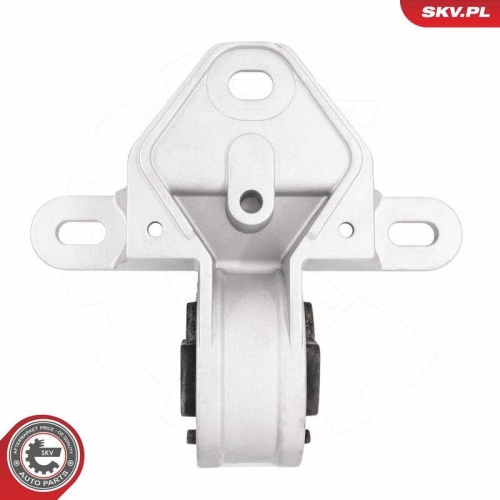 ESEN SKV Lagerung, Motor 75SKV020