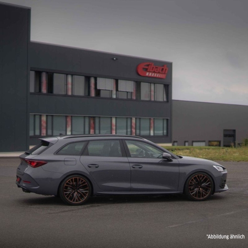 EIBACH Fahrwerkssatz, Federn Sportline E20-81-018-01-22