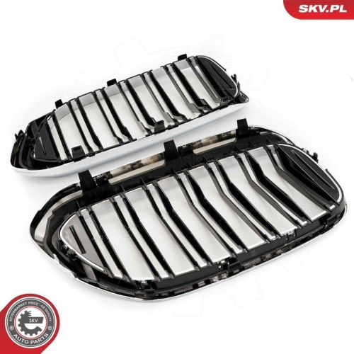 ESEN SKV Kühlergitter