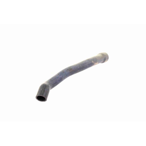 VAICO K&uuml;hlerschlauch Original VAICO Qualit&auml;t V30-2221