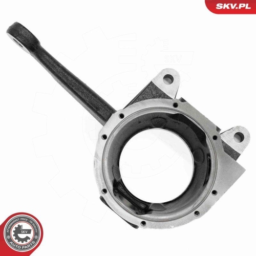 ESEN SKV Achsschenkel, Radaufh&auml;ngung