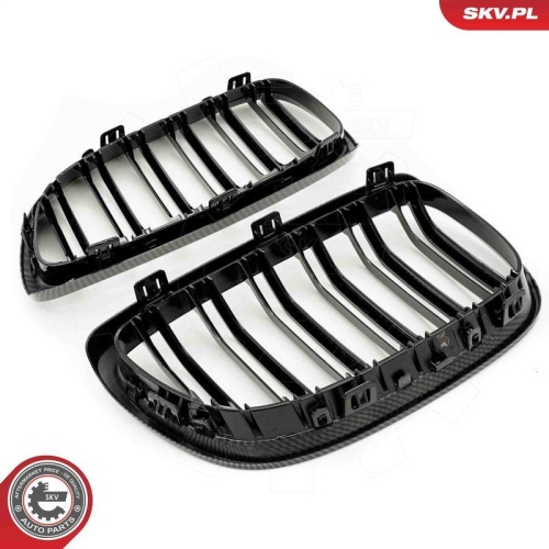 ESEN SKV Kühlergitter