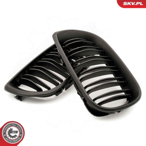 ESEN SKV Kühlergitter