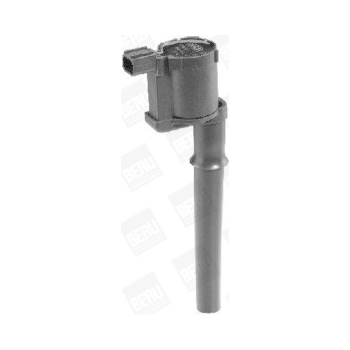BorgWarner (BERU) Z&uuml;ndspule ZS369