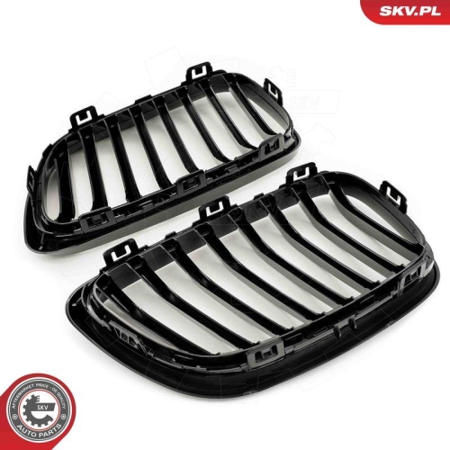 ESEN SKV Kühlergitter