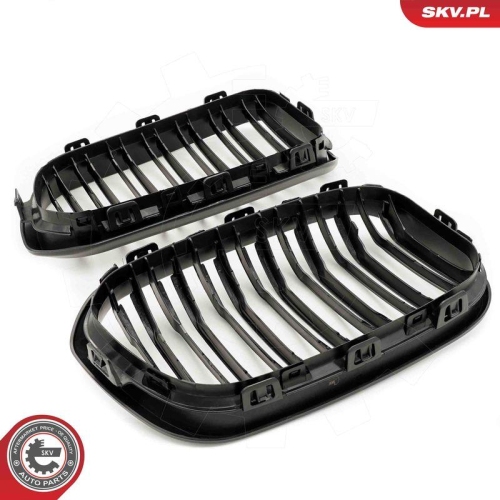 ESEN SKV Kühlergitter