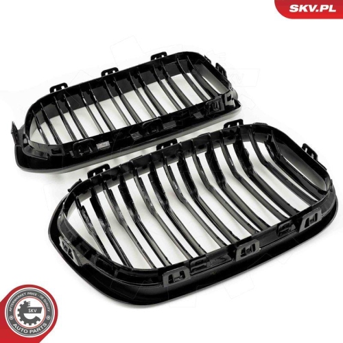 ESEN SKV Kühlergitter