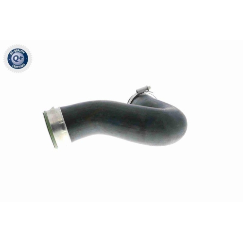 VAICO Ladeluftschlauch Q+, Erstausrüsterqualität