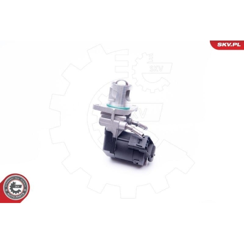 ESEN SKV AGR-Ventil