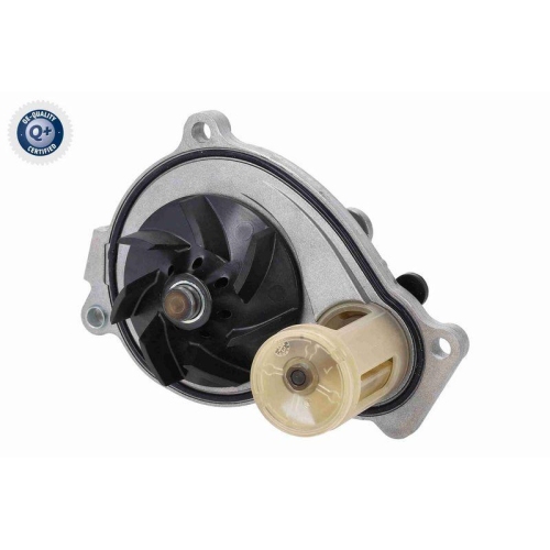 VAICO Wasserpumpe, Motorkühlung Q+, Erstausrüsterqualität