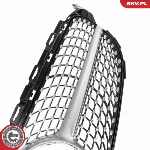 ESEN SKV Kühlergitter