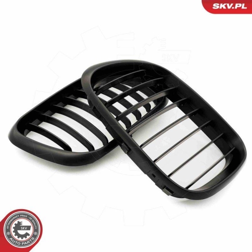 ESEN SKV Kühlergitter