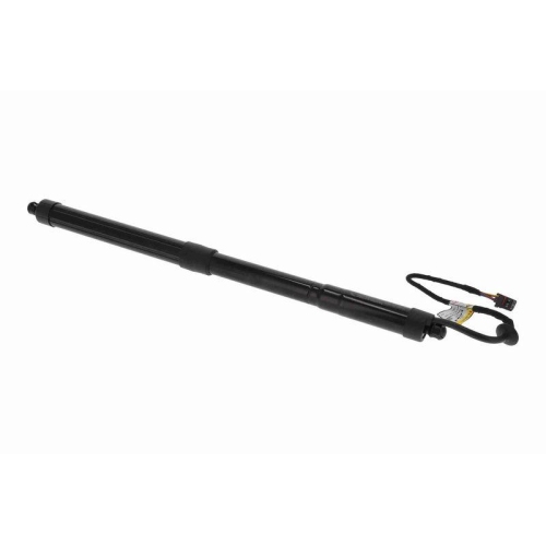 ACKOJA Elektromotor, Heckklappe Original ACKOJA Qualität A52-55-0008