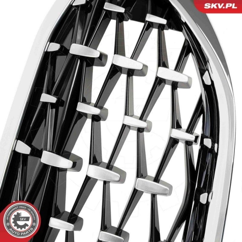 ESEN SKV Kühlergitter