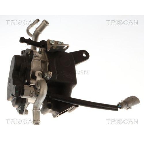 TRISCAN AGR-Ventil 8813 29118