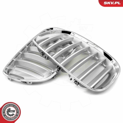 ESEN SKV Kühlergitter