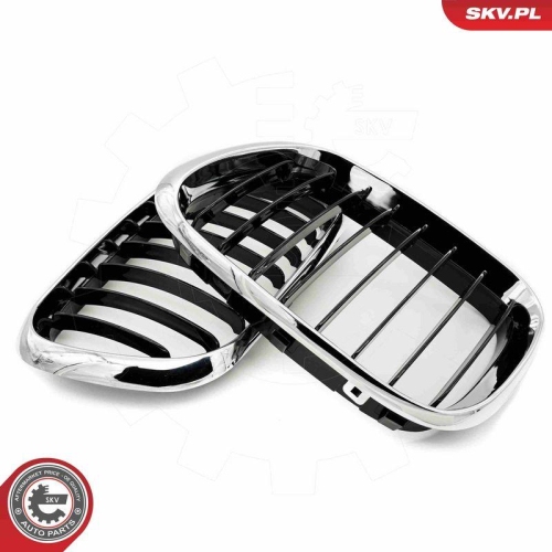 ESEN SKV Kühlergitter