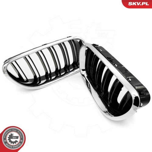 ESEN SKV Kühlergitter