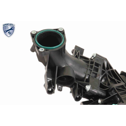 VAICO Saugrohrmodul EXPERT KITS + V20-4954