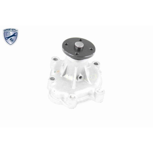 VAICO Wasserpumpe, Motork&uuml;hlung EXPERT KITS +