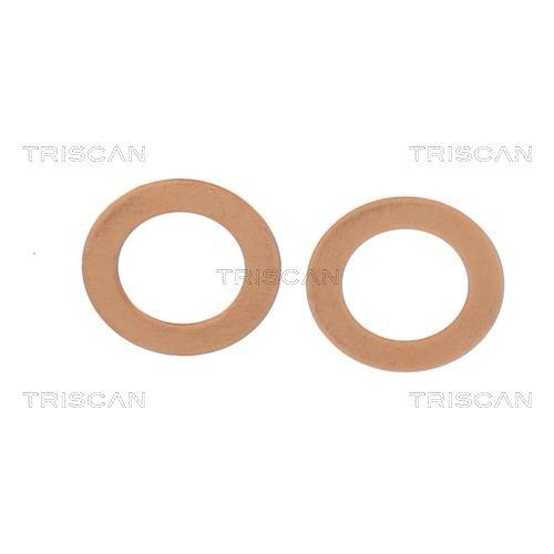 TRISCAN Bremsschlauch 8150 431025