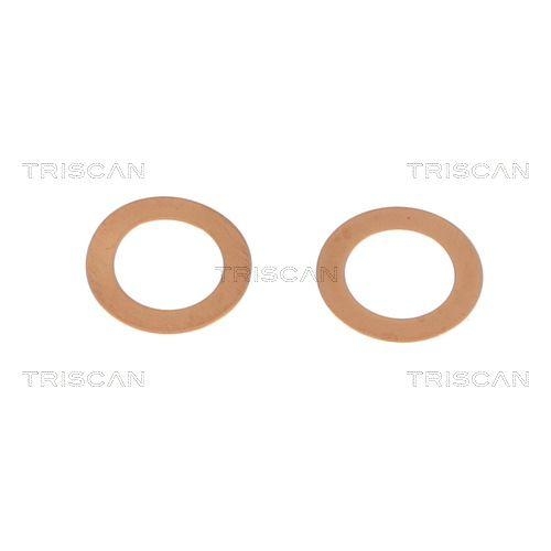 TRISCAN Bremsschlauch 8150 431026