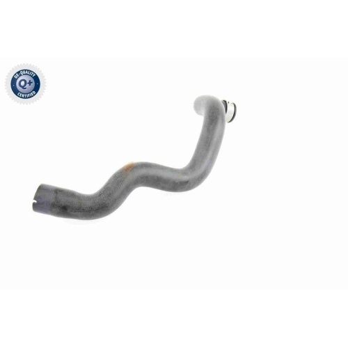 VAICO Kühlerschlauch Q+, Erstausrüsterqualität V30-1663