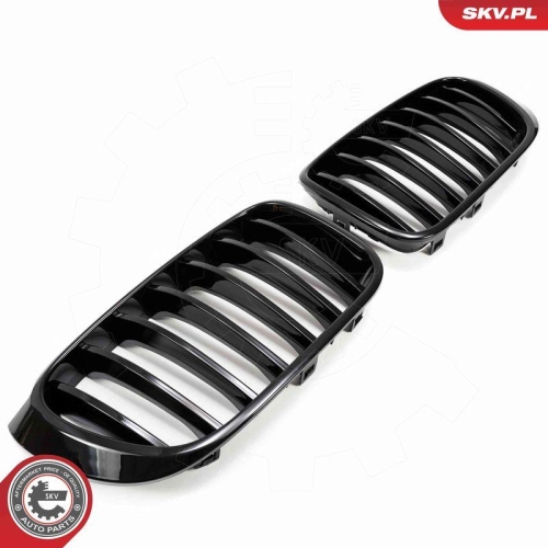 ESEN SKV Kühlergitter