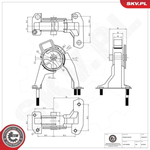 ESEN SKV Lagerung, Motor