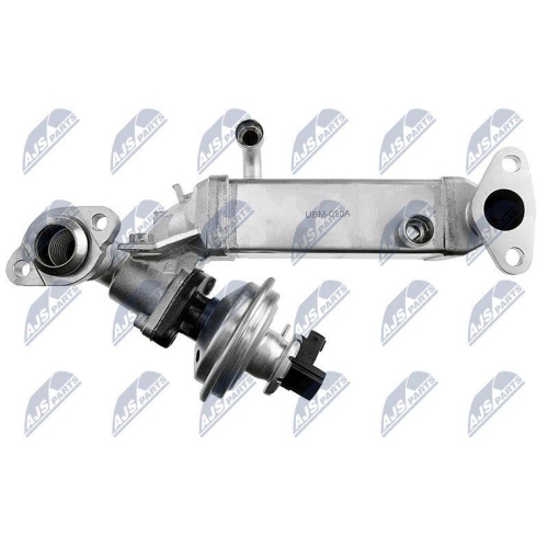 NTY AGR-Ventil EGR-BM-011A
