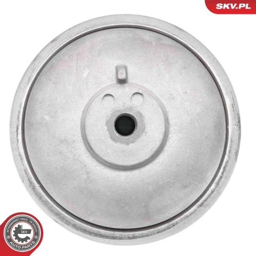 ESEN SKV Lagerung, Motor