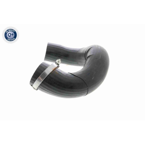 VAICO Ladeluftschlauch Q+, Erstausr&uuml;sterqualit&auml;t